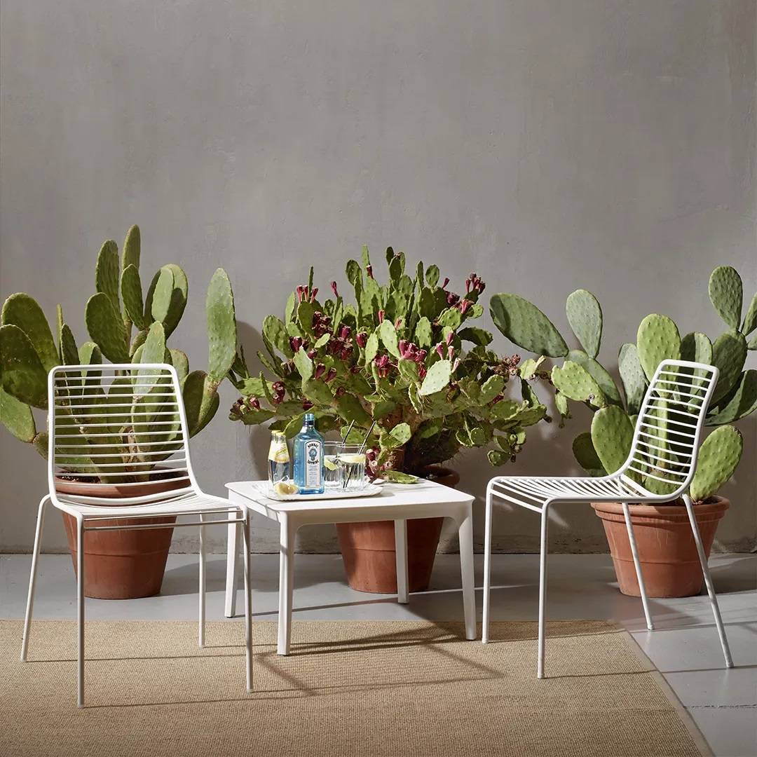 Summer Chair 
